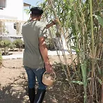 Aloni Σπίτι διακοπών Άνω Μερά