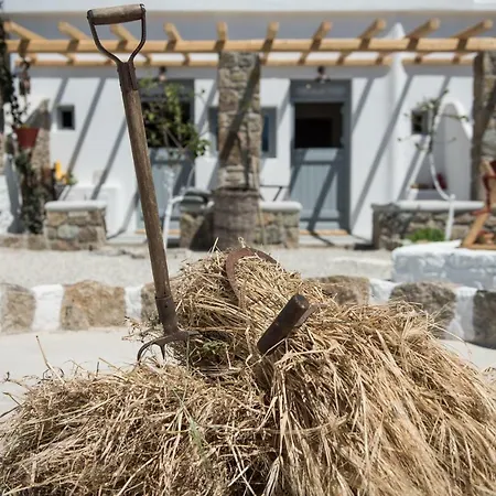 Aloni * Ано Мера