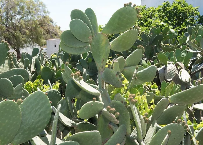 Vakantiehuis Aloni Ano Mera