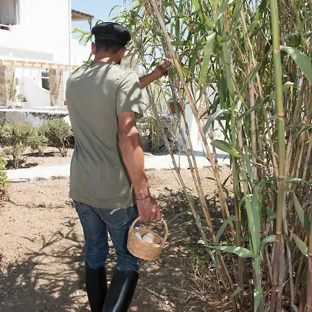 Aloni 別荘 アノ・メラ